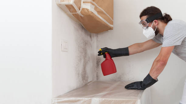 Professional Black Mold Removal technician working in Hawthorne, NJ
