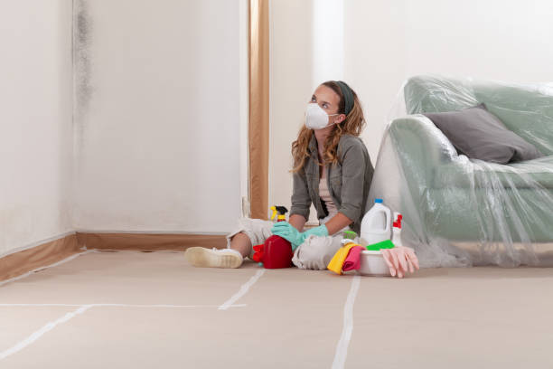 Reliable Black Mold Removal contractor in Hawthorne, NJ by WQB Mold Removal